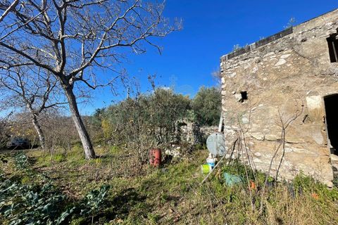 Terra a Avella, Avellino, Avella - € 80.000 | Ref: 459532 - foto 3