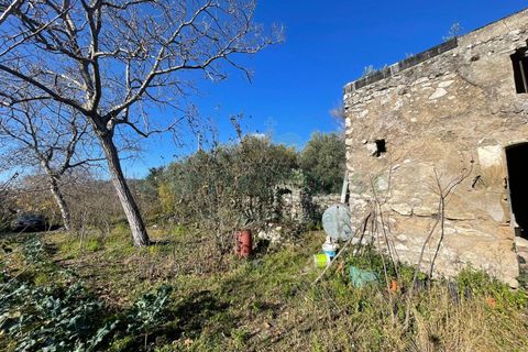 Terra a Avella, Avellino, Avella - € 80.000 | Ref: 459532 - foto 4