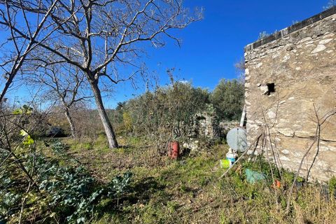 Terra a Avella, Avellino, Avella - € 80.000 | Ref: 459532 - foto 5