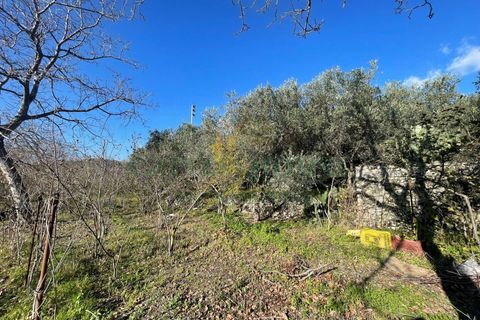 Terra a Avella, Avellino, Avella - € 80.000 | Ref: 459532 - foto 6