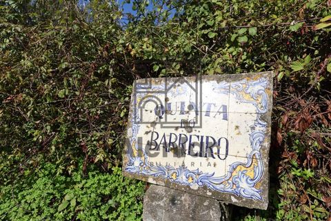Helårsgrund i Alenquer, Lisbon, Alenquer - € 399.900 | Ref: TER_164 - foto 1