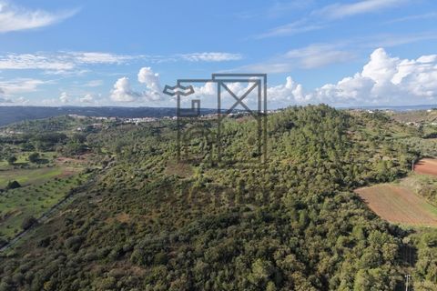 Helårsgrund i Alenquer, Lisbon, Alenquer - € 399.900 | Ref: TER_164 - foto 2