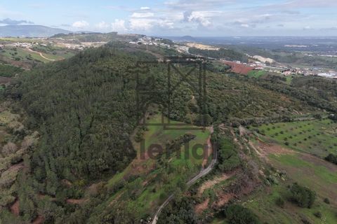 Helårsgrund i Alenquer, Lisbon, Alenquer - € 399.900 | Ref: TER_164 - foto 5
