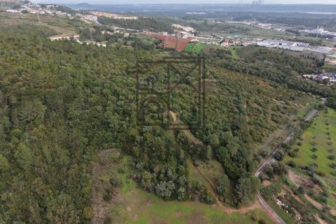 Helårsgrund i Alenquer, Lisbon, Alenquer - € 399.900 | Ref: TER_164 - foto 6