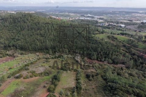 Helårsgrund i Alenquer, Lisbon, Alenquer - € 399.900 | Ref: TER_164 - foto 8