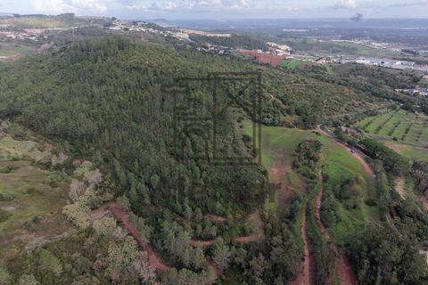 Helårsgrund i Alenquer, Lisbon, Alenquer - € 399.900 | Ref: TER_164 - foto 10