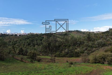 Helårsgrund i Alenquer, Lisbon, Alenquer - € 399.900 | Ref: TER_164 - foto 11