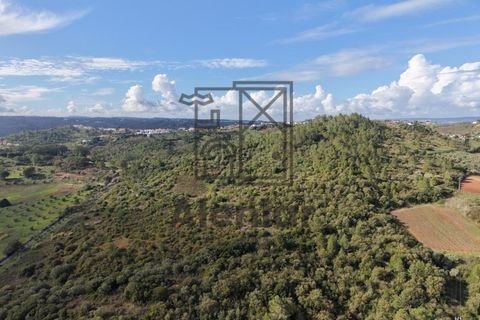 Helårsgrund i Alenquer, Lisbon, Alenquer - € 399.900 | Ref: TER_164 - foto 12