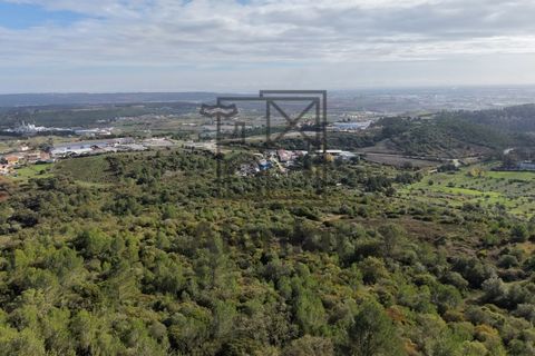 Helårsgrund i Alenquer, Lisbon, Alenquer - € 399.900 | Ref: TER_164 - foto 13
