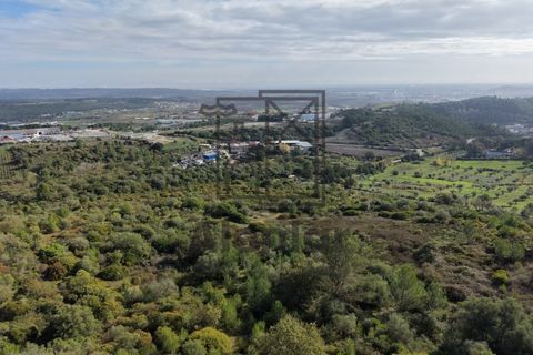 Helårsgrund i Alenquer, Lisbon, Alenquer - € 399.900 | Ref: TER_164 - foto 14