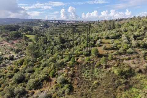 Helårsgrund i Alenquer, Lisbon, Alenquer - € 399.900 | Ref: TER_164 - foto 15