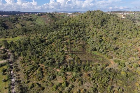 Helårsgrund i Alenquer, Lisbon, Alenquer - € 399.900 | Ref: TER_164 - foto 16
