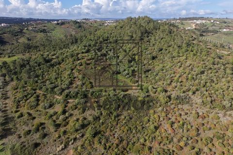 Helårsgrund i Alenquer, Lisbon, Alenquer - € 399.900 | Ref: TER_164 - foto 17