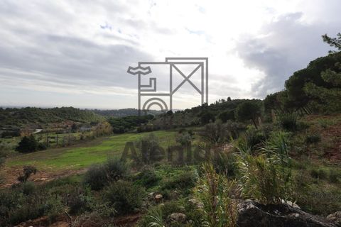 Helårsgrund i Alenquer, Lisbon, Alenquer - € 399.900 | Ref: TER_164 - foto 18