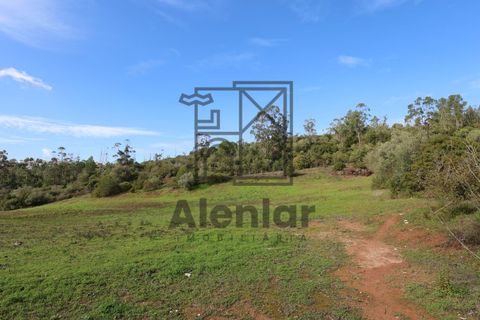 Helårsgrund i Alenquer, Lisbon, Alenquer - € 399.900 | Ref: TER_164 - foto 19