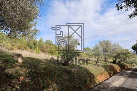 Helårsgrund i Alenquer, Lisbon, Alenquer - € 399.900 | Ref: TER_164 - foto 22