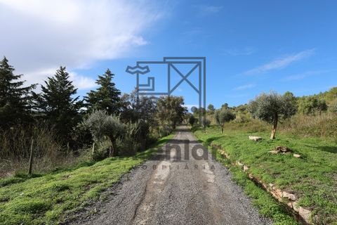 Helårsgrund i Alenquer, Lisbon, Alenquer - € 399.900 | Ref: TER_164 - foto 23