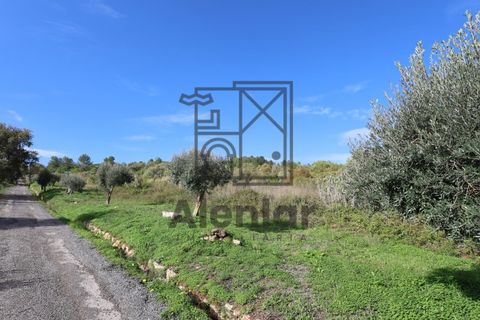 Helårsgrund i Alenquer, Lisbon, Alenquer - € 399.900 | Ref: TER_164 - foto 24