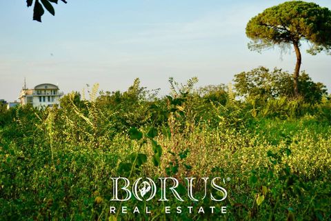 Terra a Aversa, Caserta, Aversa - € 650.000 | Ref: BR290 - foto 2
