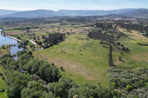 Helårsgrund i Celorico da Beira, Guarda, Celorico da Beira - € 450.000 | Ref: C0473-00223 - foto 2