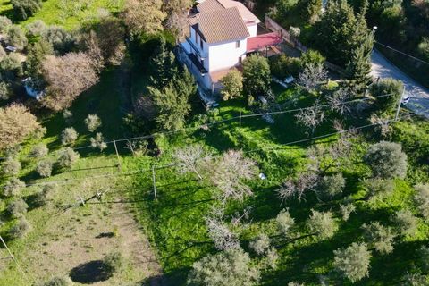 Villa i Agropoli, Salerno, Agropoli - € 269.000 | Ref: 1692423 - foto 3