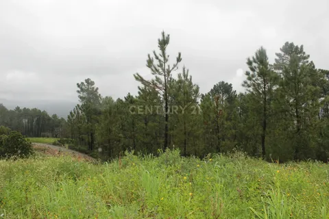 Villa i Castelo Branco, Castelo Branco, Castelo Branco - € 58.000 | Ref: C0220-00996 - foto 37
