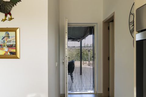 Villa i Guia, Faro, Guia - € 795.000 | Ref: AGM-CL001 - foto 20