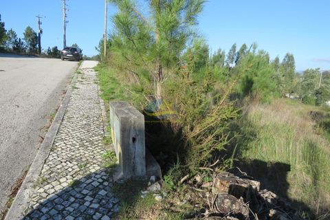 Helårsgrund i Ansiao, Leiria, Ansiao - € 39.500 | Ref: ko2698 - foto 6