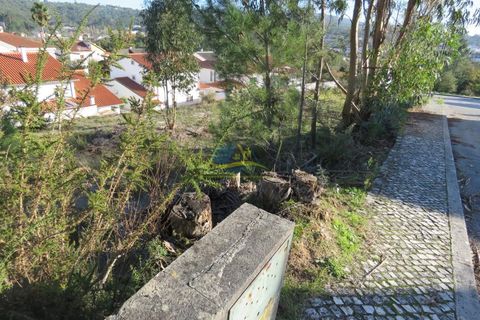 Helårsgrund i Ansiao, Leiria, Ansiao - € 39.500 | Ref: ko2698 - foto 7