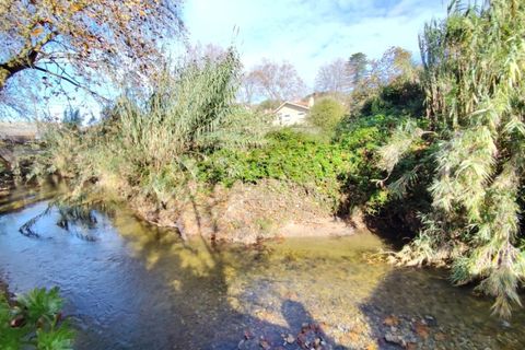 Farm i Almocageme, Lisbon, Almocageme - € 900.000 | Ref: MM52985MC - foto 11