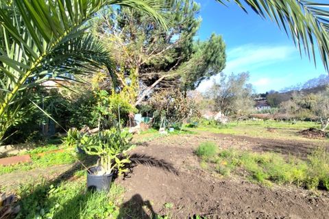 Farm i Almocageme, Lisbon, Almocageme - € 900.000 | Ref: MM52985MC - foto 2