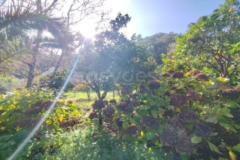 Farm i Almocageme, Lisbon, Almocageme - € 900.000 | Ref: MM52985MC - foto 3