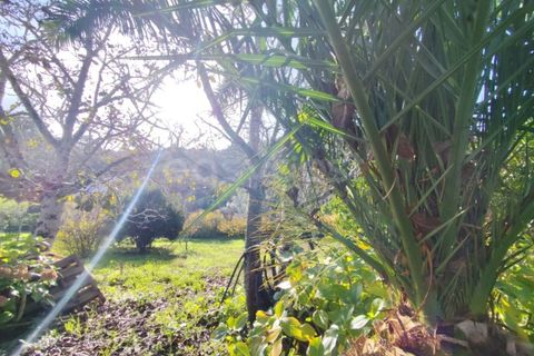 Farm i Almocageme, Lisbon, Almocageme - € 900.000 | Ref: MM52985MC - foto 4