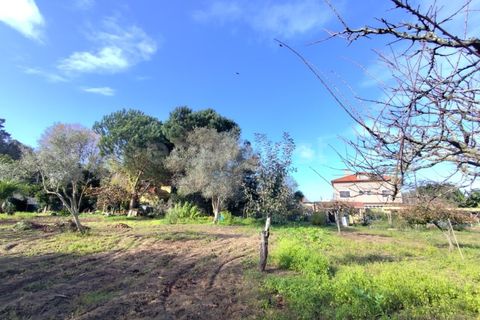 Farm i Almocageme, Lisbon, Almocageme - € 900.000 | Ref: MM52985MC - foto 5