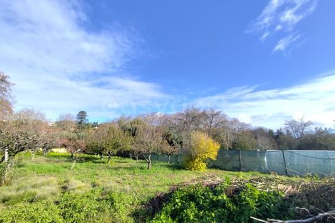 Farm i Almocageme, Lisbon, Almocageme - € 900.000 | Ref: MM52985MC - foto 7