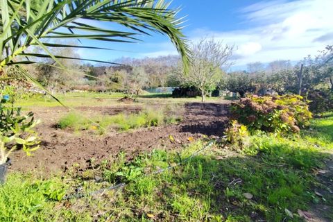 Farm i Almocageme, Lisbon, Almocageme - € 900.000 | Ref: MM52985MC - foto 9