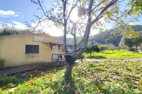 Farm i Almocageme, Lisbon, Almocageme - € 900.000 | Ref: MM52985MC - foto 10