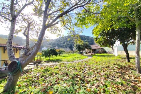 Farm i Almocageme, Lisbon, Almocageme - € 900.000 | Ref: MM52985MC - foto 1