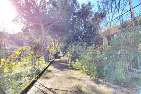 Farm i Almocageme, Lisbon, Almocageme - € 900.000 | Ref: MM52985MC - foto 12