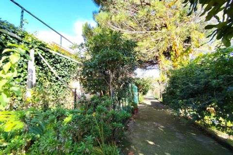 Farm i Almocageme, Lisbon, Almocageme - € 900.000 | Ref: MM52985MC - foto 14