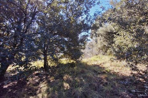 Villa i Les Vans, Ardeche, Les Vans - € 55.000 | Ref: 85648507 - foto 8