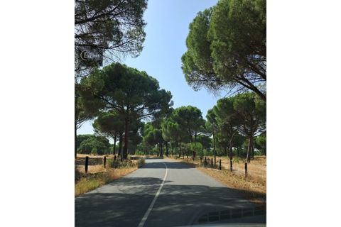Villa i Torrao, Setubal, Torrao - € 350.000 | Ref: CAS_172 - foto 3