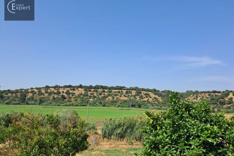 Villa i Torrao, Setubal, Torrao - € 350.000 | Ref: CAS_172 - foto 4