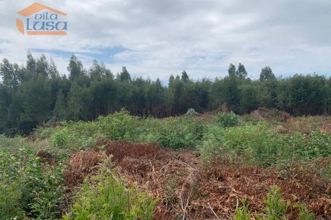 Helårsgrund i Maia, Porto, Maia - € 160.000 | Ref: 808231010 - foto 11