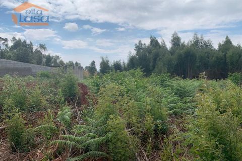 Helårsgrund i Maia, Porto, Maia - € 160.000 | Ref: 808231010 - foto 12