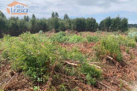 Helårsgrund i Maia, Porto, Maia - € 160.000 | Ref: 808231010 - foto 13