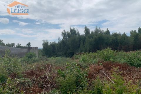 Helårsgrund i Maia, Porto, Maia - € 160.000 | Ref: 808231010 - foto 14