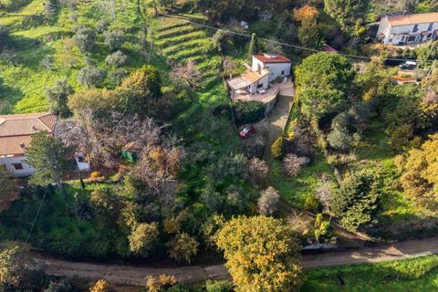 Villa i Cefalu, Palermo, Cefalu - € 150.000 | Ref: V639 - foto 3