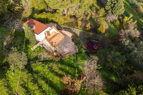 Villa i Cefalu, Palermo, Cefalu - € 150.000 | Ref: V639 - foto 4