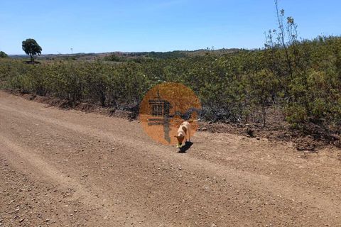 Helårsgrund i Castro Marim, Faro, Castro Marim - € 16.900 | Ref: SU-CS-TR-89634 - foto 11